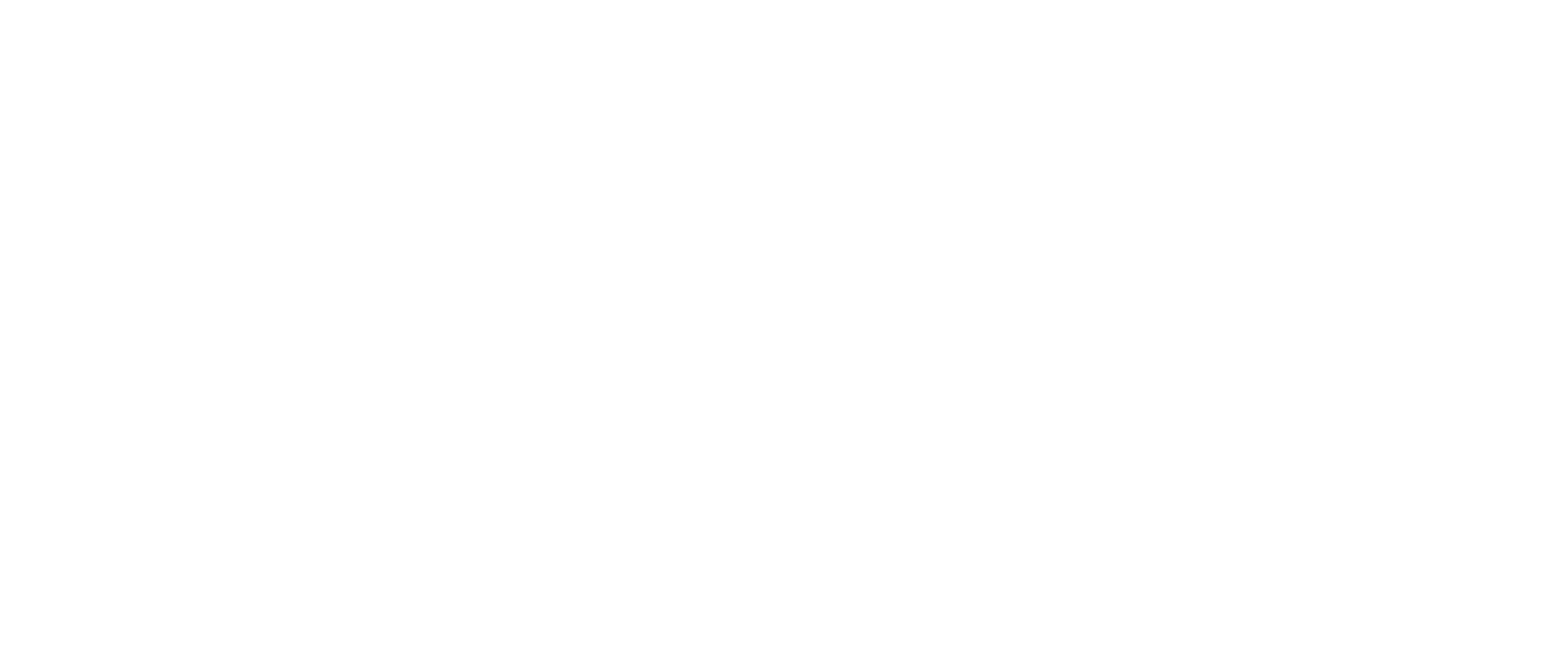 White logo for 