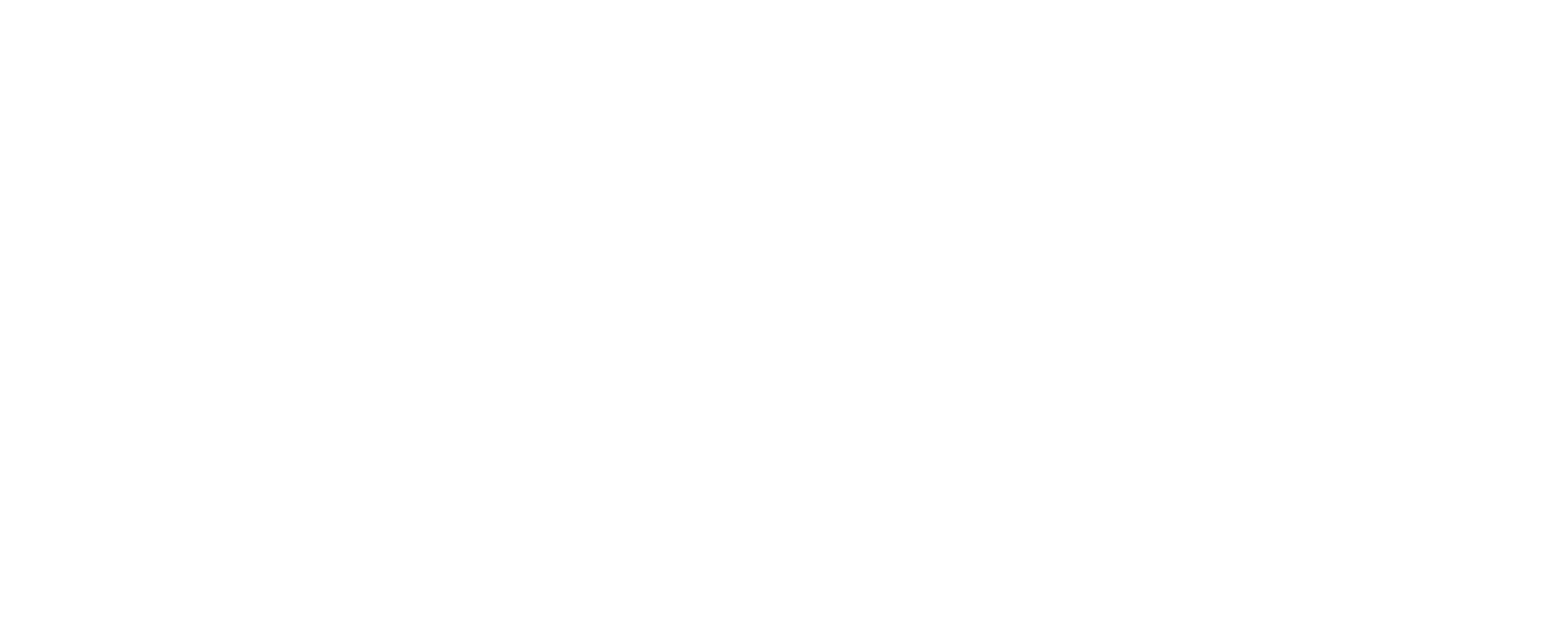 White logo for 