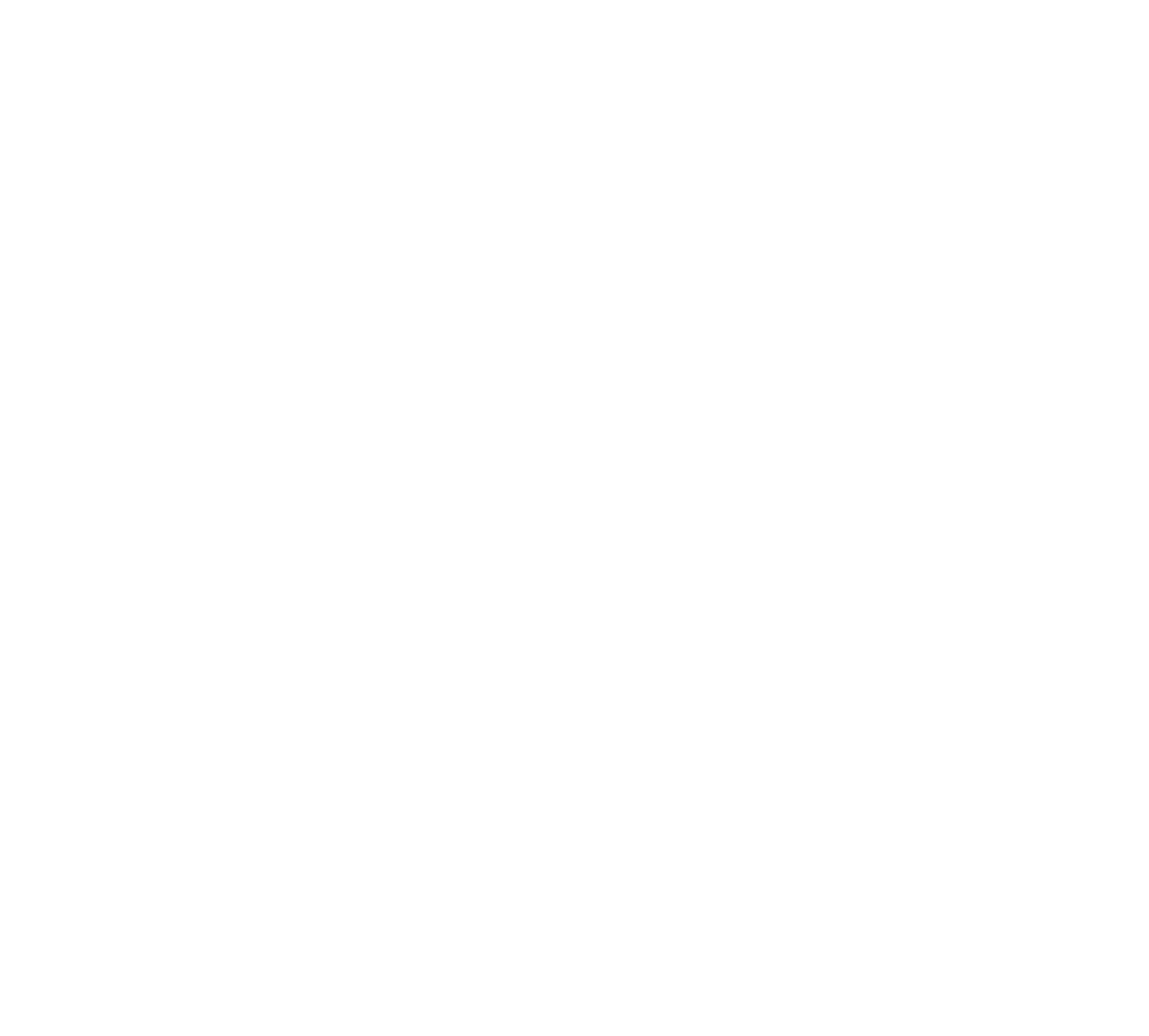 White logo for 